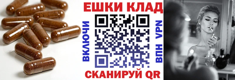 МЕГА ТОР  Пойковский  Экстази TESLA 