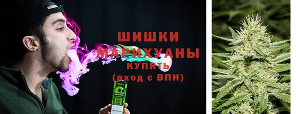 прущие крисы Белокуриха