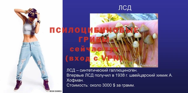 прущие крисы Белокуриха