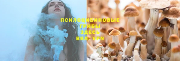 прущие крисы Белокуриха